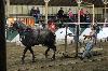 2017_004.jpg