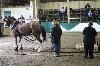 2017_005.jpg