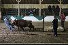 2017_007.jpg