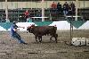2017_014.jpg