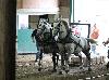 2017_016.jpg