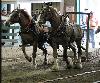 2017_017.jpg