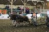 2017_022.jpg