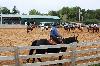 2017_023.jpg