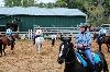 2017_024.jpg