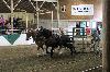 2017_025.jpg