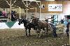 2017_026.jpg