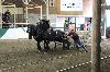 2017_027.jpg