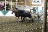 2017_029.jpg
