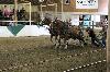2017_030.jpg