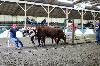 2017_033.jpg