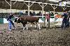 2017_034.jpg