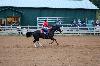 2017_045.jpg