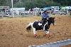 2017_049.jpg
