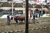 2017_055.jpg