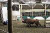 2017_056.jpg