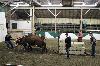 2017_057.jpg