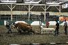 2017_062.jpg