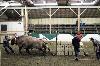 2017_063.jpg