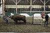 2017_064.jpg