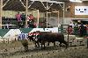 2017_067.jpg