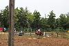 2017_074.jpg