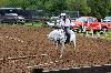 2017_077.jpg