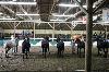 2017_082.jpg