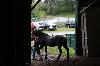 2017_083.jpg