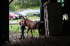 2017_084.jpg