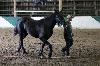 2017_086.jpg