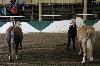 2017_089.jpg