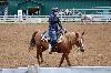2017_095.jpg