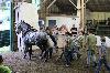 2017_106.jpg