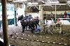 2017_107.jpg
