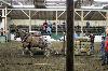 2017_109.jpg