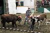 2017_115.jpg