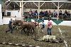 2017_119.jpg