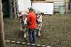 2017_125.jpg