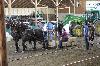 2017_129.jpg