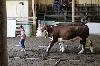 2017_146.jpg