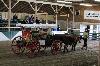 2017_159.jpg
