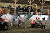 2017_161.jpg