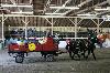 2017_185.jpg