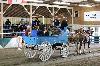 2017_190.jpg