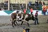 2017_191.jpg