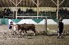 2017_209.jpg