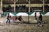 2017_210.jpg