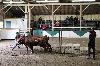 2017_214.jpg
