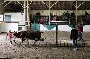 2017_216.jpg
